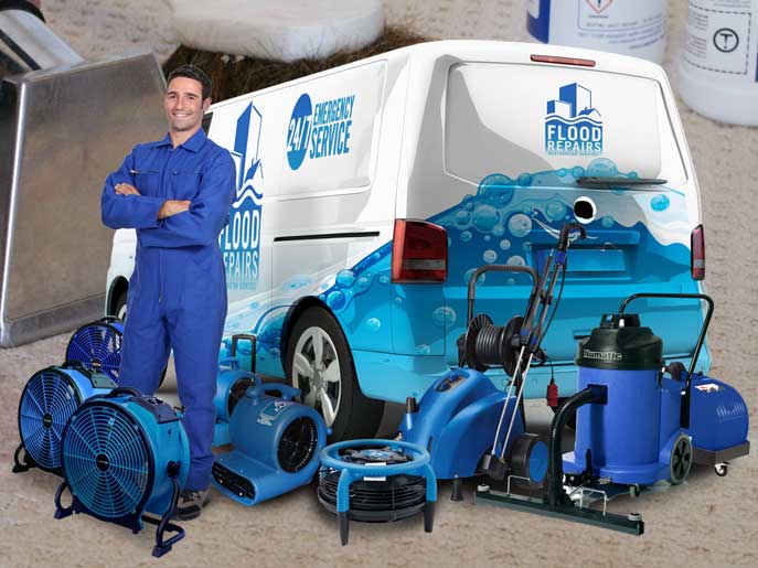 odour removal and bacteria cleaning van machine img