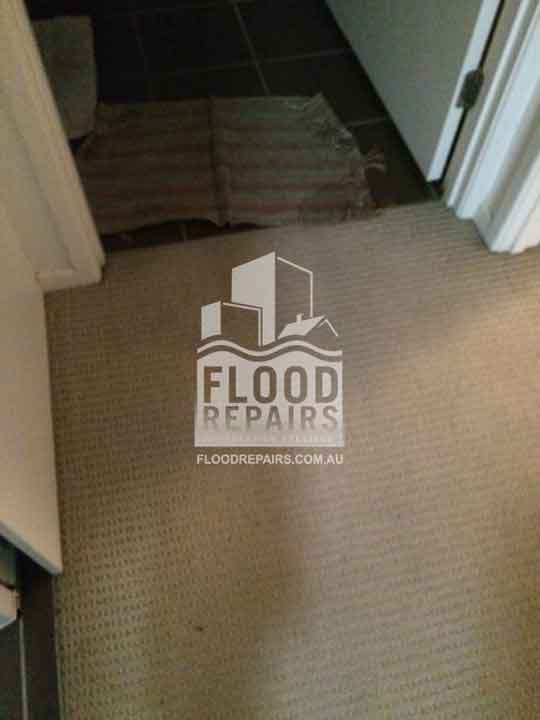 Brookdale before flood repairs carpet cleaning 