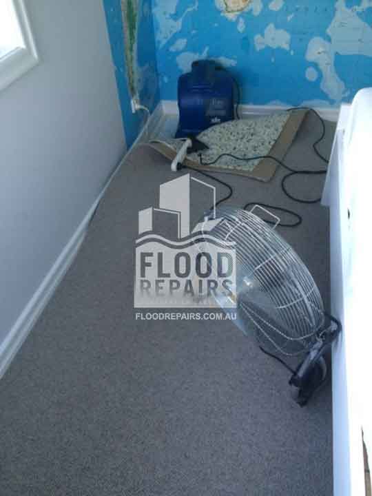 Sinnamon-Park carpet and wall damages before cleaning and repairing 