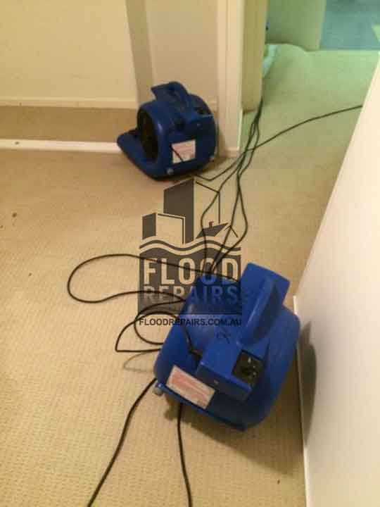 Sydney carpet clean equipment floor repairs 