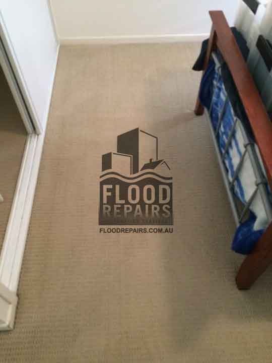 Sydney carpet cleaning by flood repairs job 