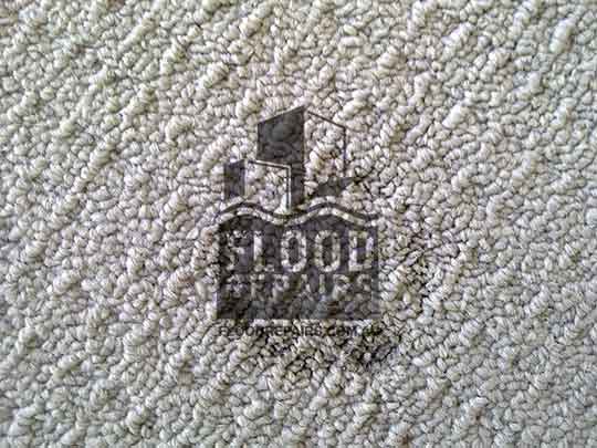 Fairfield carpet damage before repaired 