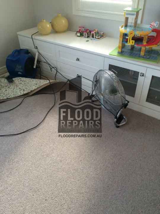 Glendenning carpet cleaning flood repairs job 