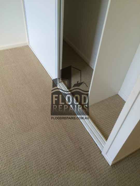 Palm-Beach cleaned and dried carpet by flood repairs job 