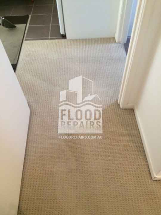 Melbourne cleaned carpet after completing flood repairs job 