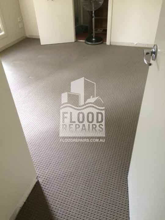Melbourne cleaned carpet flood repairs job 