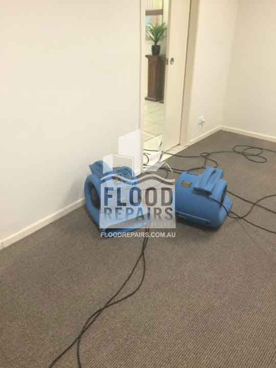Woden-Valley cleaned carpet using flood repairs equipment 