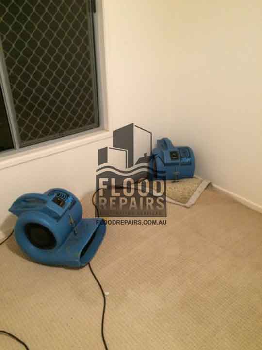 Yan-Yean cleaning carpets with flood repairs equipments 