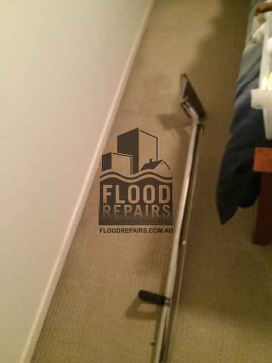 CBD during flood repairs carpet cleaning 