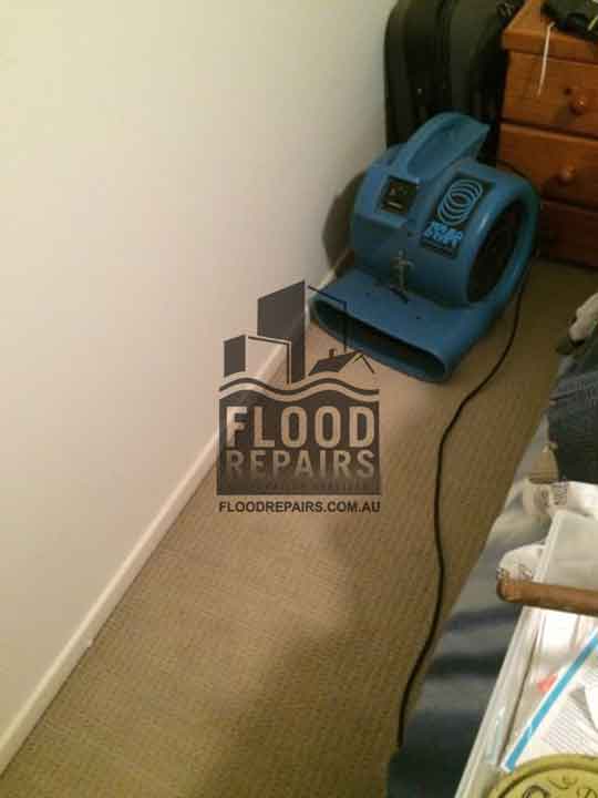White-Hills flood job equipment clean carpet 