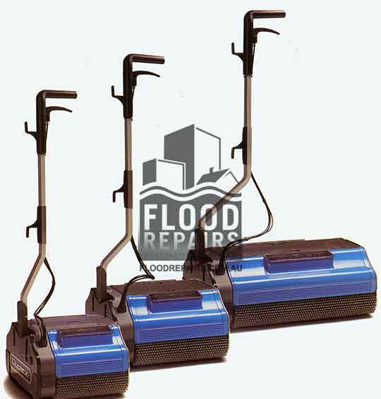 carpet cleaning equipment for rent