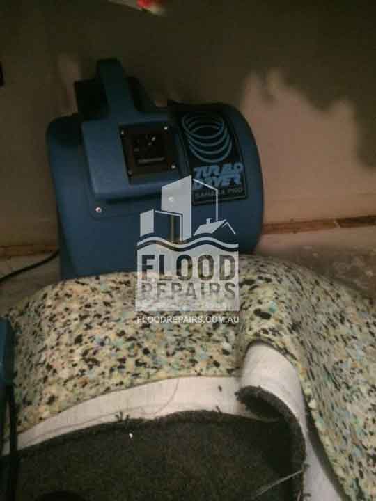 cleaning carpet during Flood Restoration & Repairs job