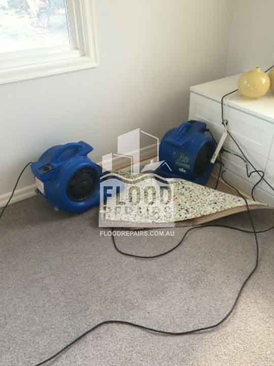 flood job cleaning carpet with equipments
