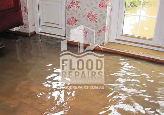 flooded home needed emergency response