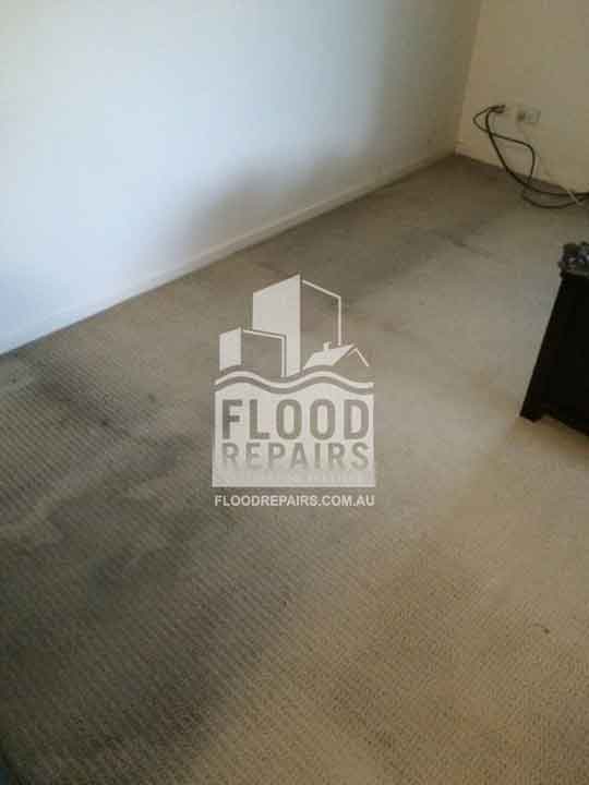flooded wet carpet