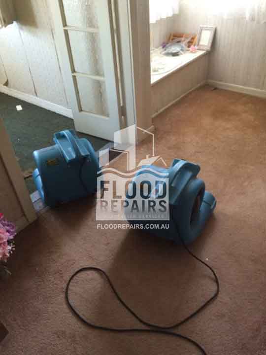 wet carpet before using Flood Restoration & Repairs equipment