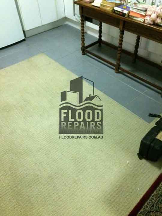 Brisbane after flood repairs job cleaned and dried carpet 