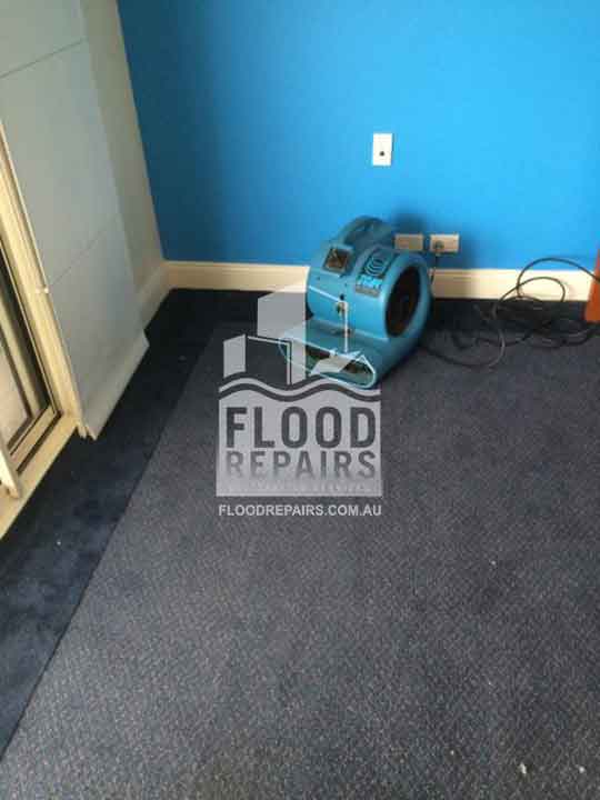Canberra black carpet during cleaning 