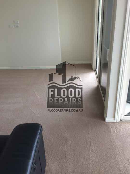 Commissioners-Flat carpet after flood repairs cleaning work 