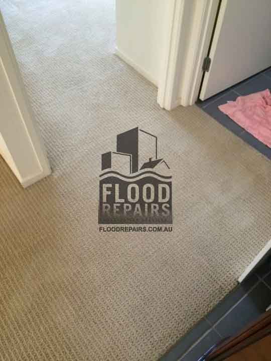 Brisbane cleaned and dried carpet with flood repairs job 