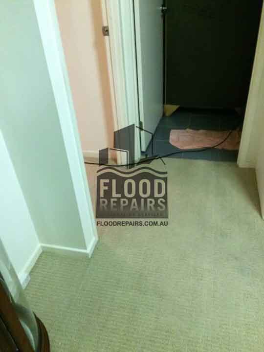 Molendinar flood repairs job cleaned carpet 