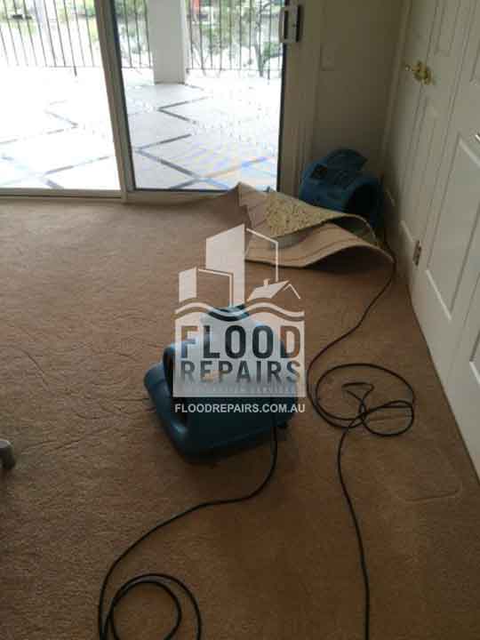 Molendinar flood repairs machine for carpet cleaning 