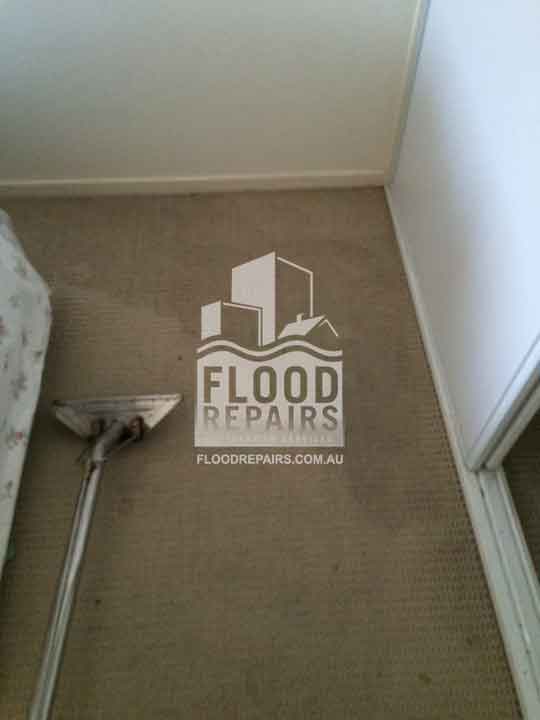 Flood-Repairs-Wollongong water damaged wet carpet 