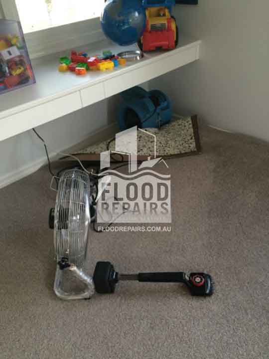 Edgecliff wet carpet before flood repairs drying and cleaning job 