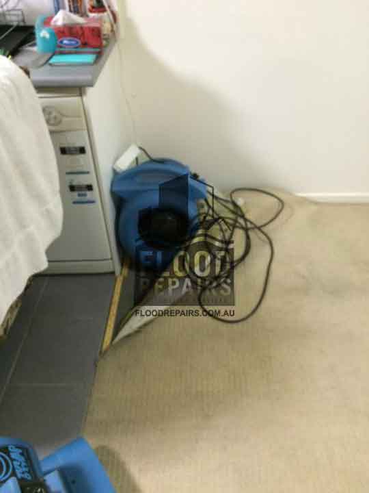 wet carpet cleaning and drying